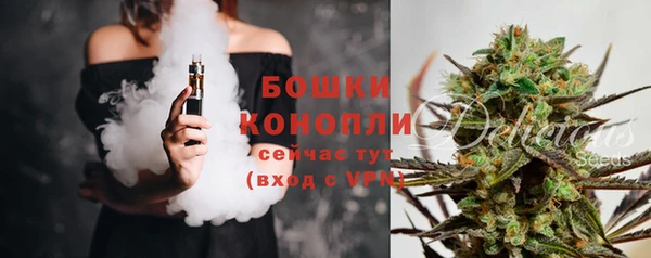 крисы Покачи
