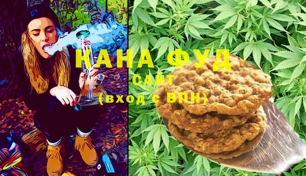 дмт Абаза
