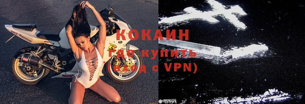 дмт Абаза