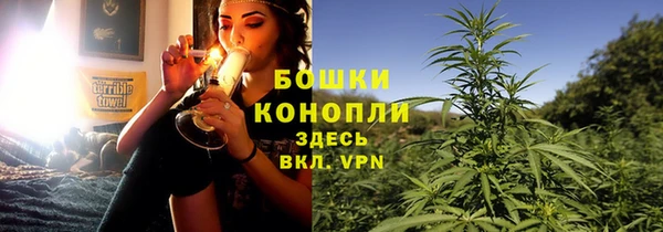 дмт Абаза