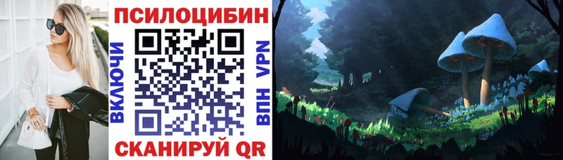 где можно купить   Нефтегорск  Галлюциногенные грибы Cubensis 